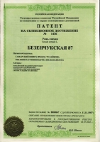 Безенчукская 87