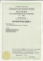 Безенчукский 3